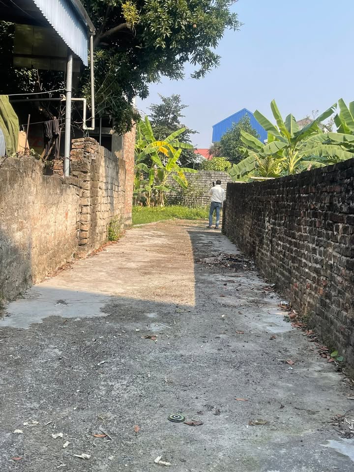 Đất nền Lê Thanh, Hồng Sơn, 100m² giá chỉ từ 1x triệu/m² - Cơ hội đầu tư tuyệt vời!