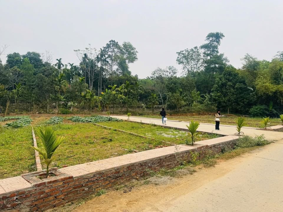 Đất lô góc 83m² tại xã An Phú, Mỹ Đức - Giá chỉ 1.5 tỷ - Cơ hội đầu tư hấp dẫn!