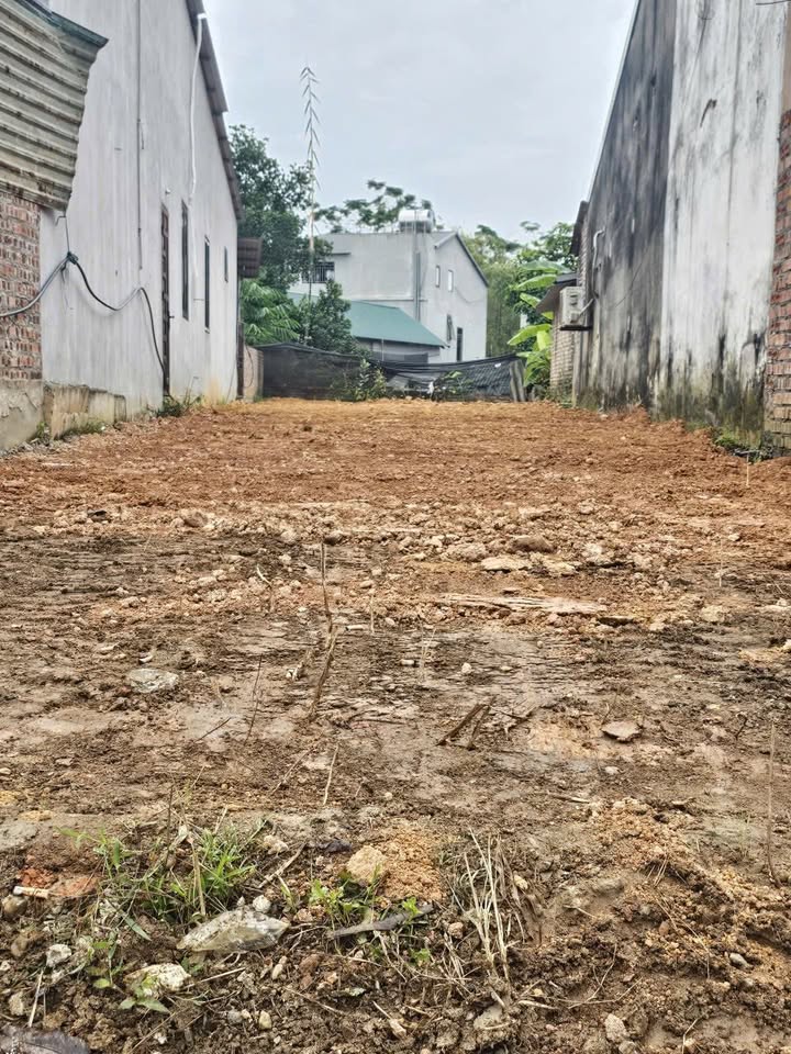 Đất nền 114m² tại dự án Nam Việt, Việt Trì - Giá chỉ 3 tỷ