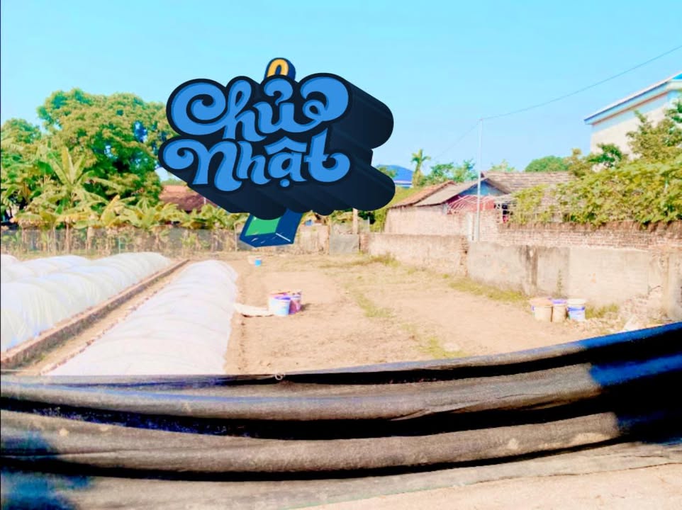 Đất 2 mặt đường Cổ Đô, Ba Vì 207m² giá 2.07 tỷ - Đầu tư sinh lời hấp dẫn!