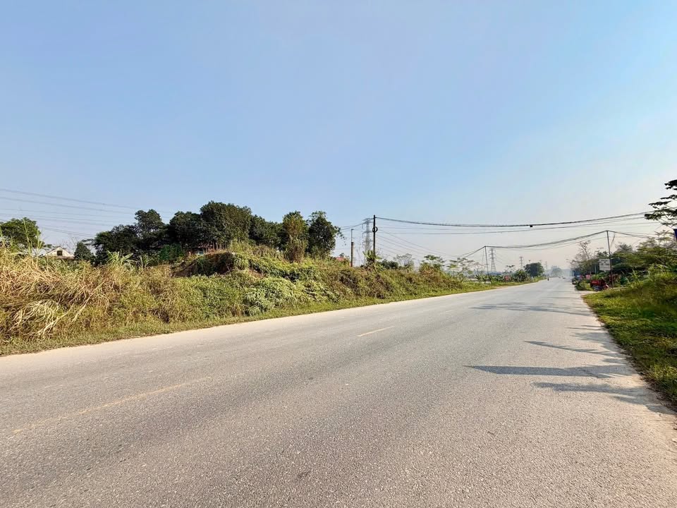 Đất mặt đường Hồ Chí Minh, Tam Nông, Phú Thọ 91m² giá 1 tỷ - Đầu tư sinh lời cao!