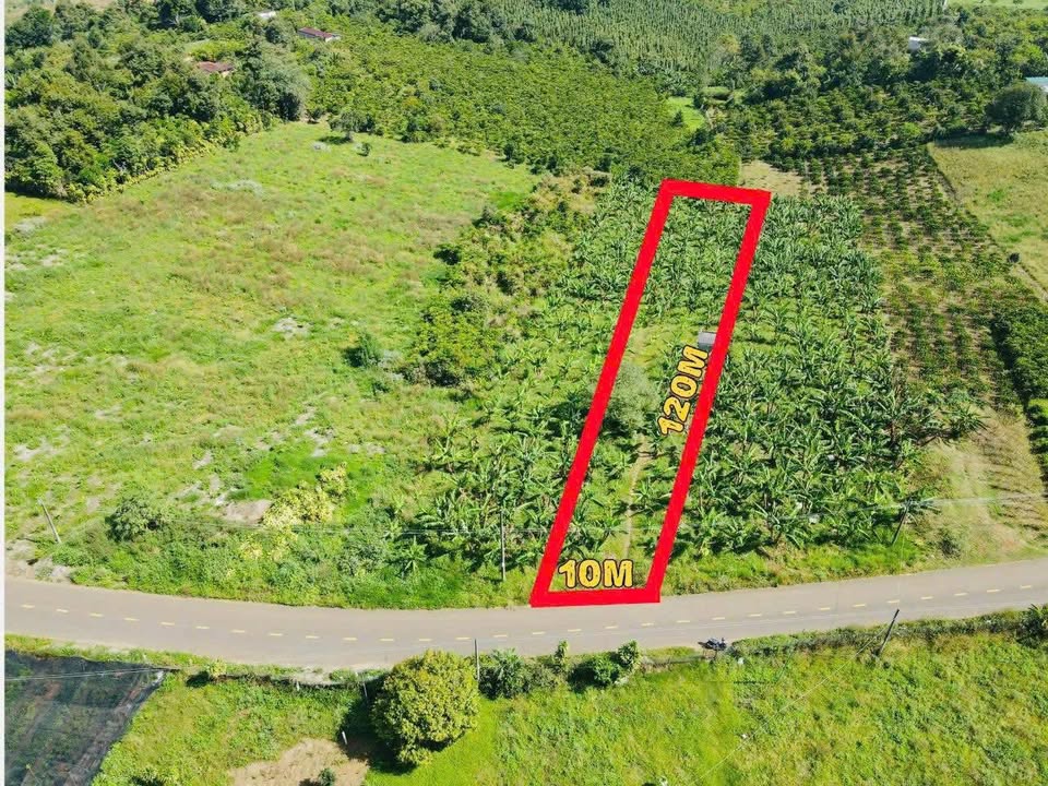 Đất thổ cư 1235m² mặt tiền Âu Cơ, Tân Lạc - Cơ hội đầu tư hấp dẫn!