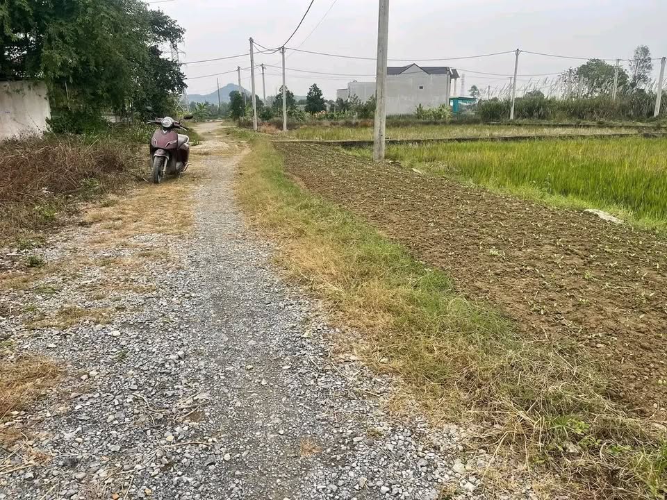 Đất nền Yên Phong Yên Định 175m² giá chỉ 5xx triệu - Cơ hội đầu tư tuyệt vời!