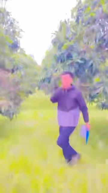 Đất nền 4.000m² xã Xuân Thành, Đồng Nai - Giá cực sốc chỉ 400 triệu/sào!