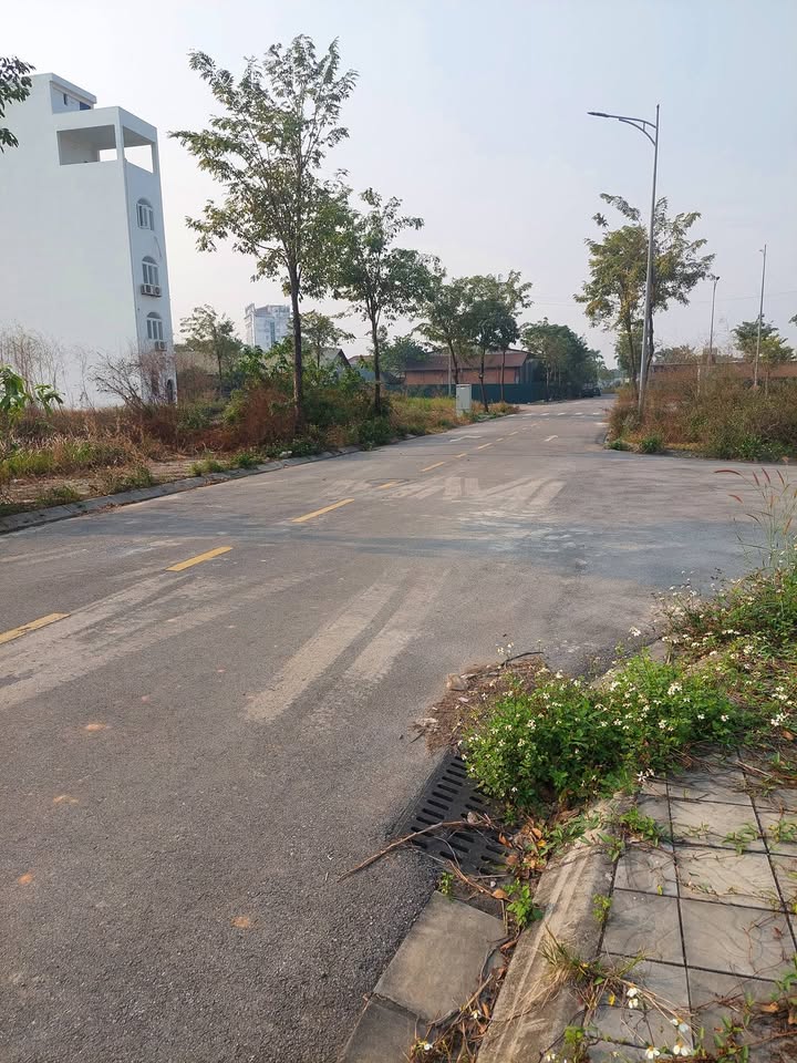 Lô đất sạch tại Cổ Dương, Đông Anh 60m² - Giá thỏa thuận hấp dẫn!