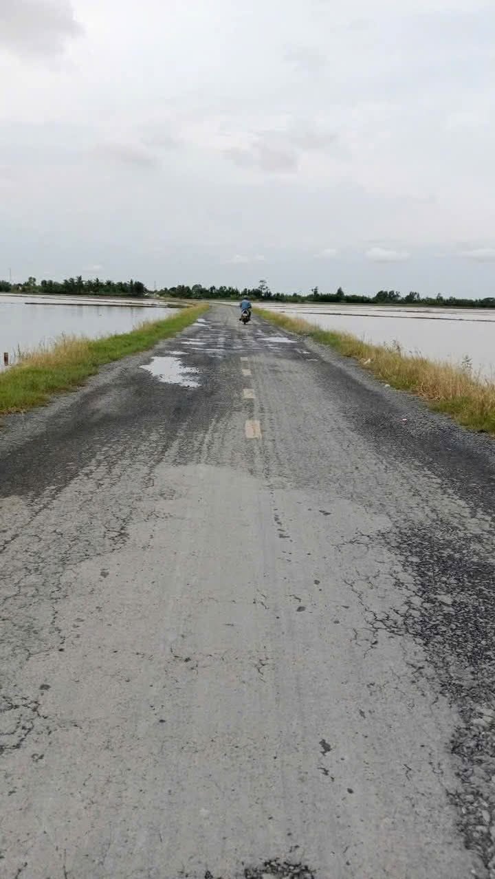 Đất nền huyện lộ 31, xã Tài Văn, 3000m² giá 1.5 tỷ - Cơ hội đầu tư hấp dẫn!