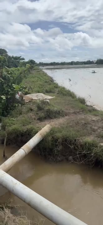 Đất Farm 7300m² mặt tiền kênh lớn tại Sóc Trăng giá 3.5 tỷ - Đầu tư tương lai sinh lời!