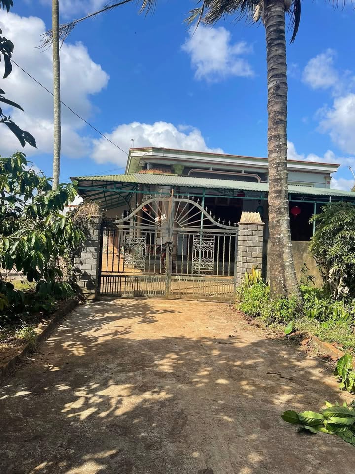 Nhà đẹp 1400m² tại Xã Phú Lộc, Huyện Krông Năng - Giá chỉ 1.5 tỷ