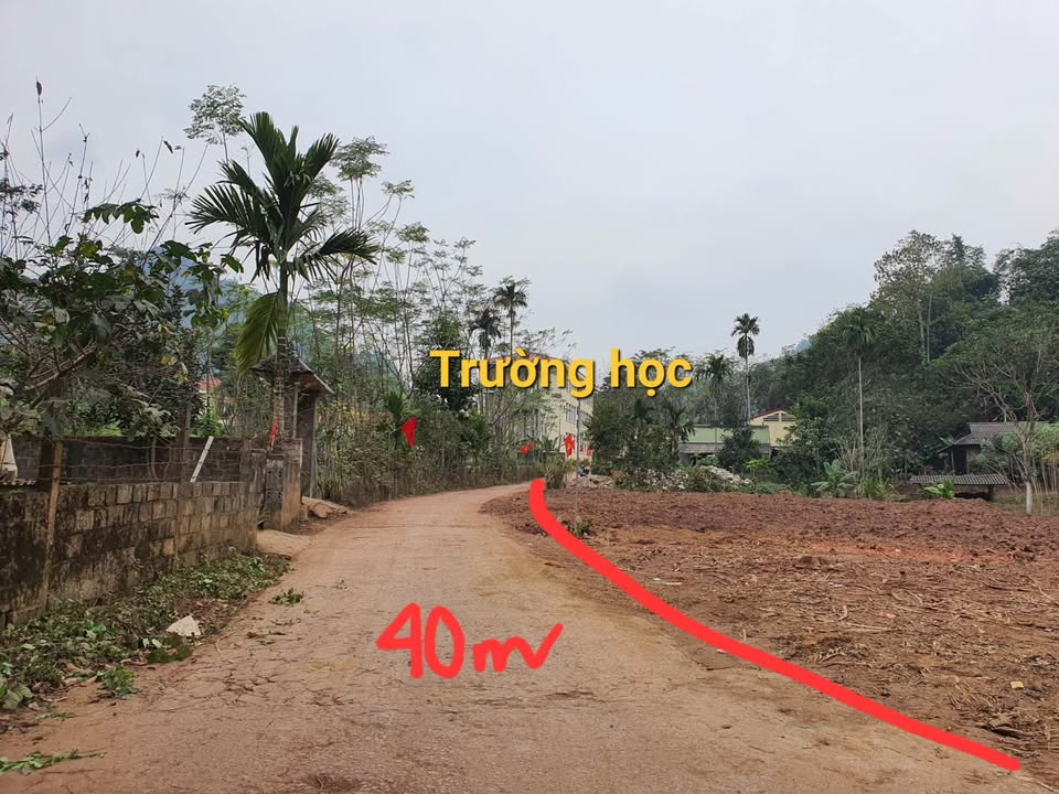 Đất nền Phú Thọ 703m² giá 900 triệu - Mặt tiền trục chính 40m