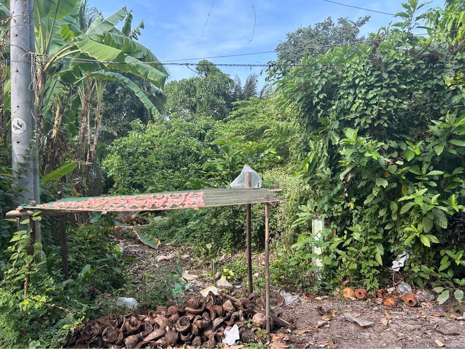 Bán đất nền 144m² phường Mỹ Thới, TP. Long Xuyên - Giá chỉ 1.05 tỷ, vị trí tuyệt đẹp!