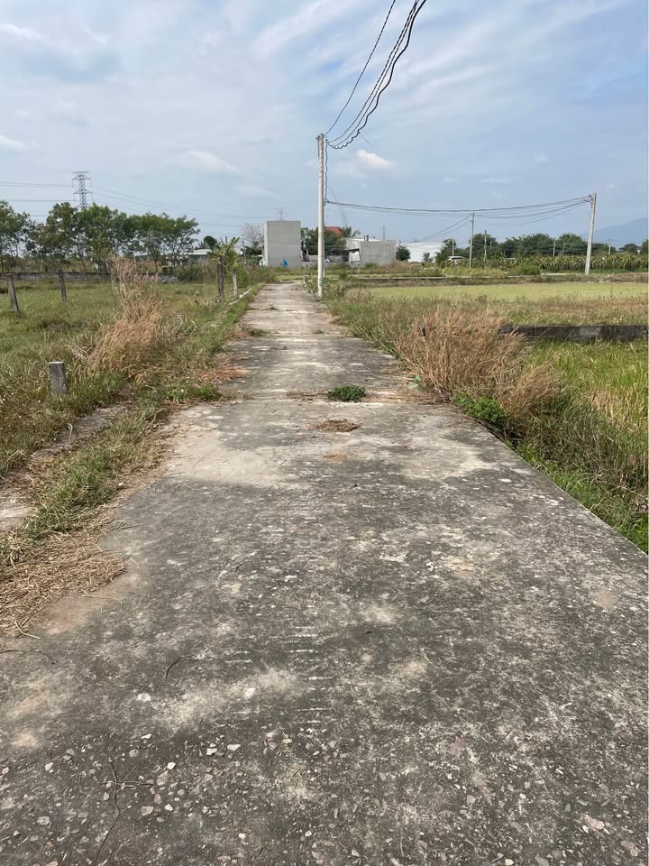 Đất thổ cư 2 mặt tiền Xuân Phú, Phong Nẫm 150m² giá 600 triệu - Đầu tư sinh lời ngay!