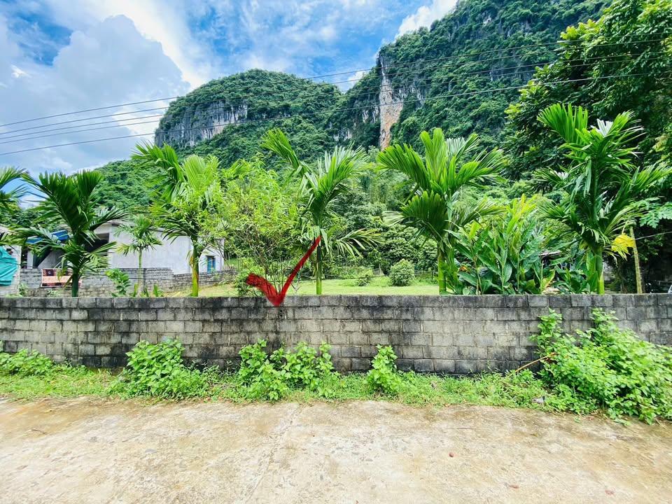 Đất nền Kim Bôi Hòa Bình 1066m² giá 2.1 tỷ - Lưng dựa núi, view cánh đồng tuyệt đẹp!