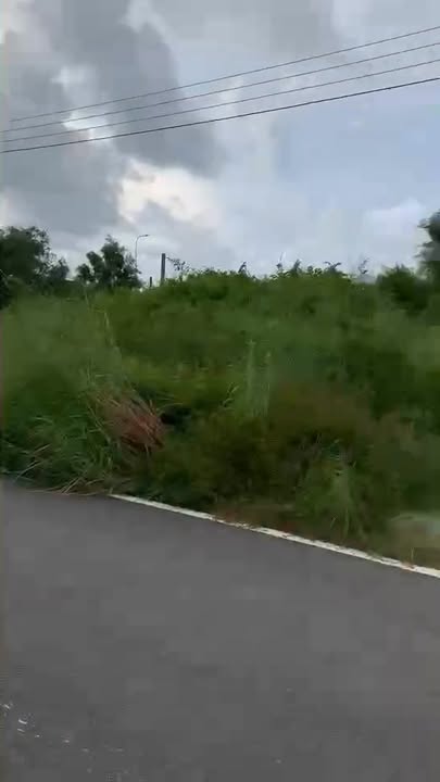 Đất thổ cư 143m² tại khu dân cư Lộc An, Bà Rịa - Vũng Tàu giá 2.2 tỷ - Đầu tư sinh lời hiệu quả!