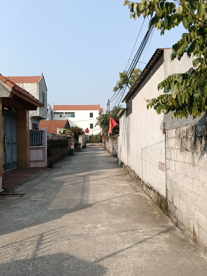 Đất nền xã Tự Nhiên, huyện Thường Tín 85m² giá 3,7 tỷ - Ô tô đỗ cửa, tiềm năng sinh lời!