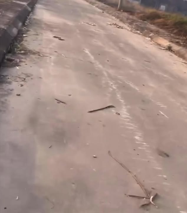 Đất đấu giá Đào Xá, Thanh Trì 99,92m² chỉ 6X - Cơ hội đầu tư tiềm năng!