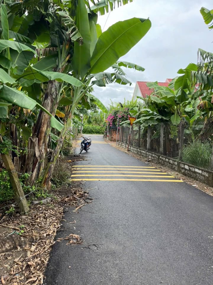 Đất Diên Lâm, Diên Khánh 1100m² giá 1.65 tỷ - Đầu tư sinh lời hấp dẫn!