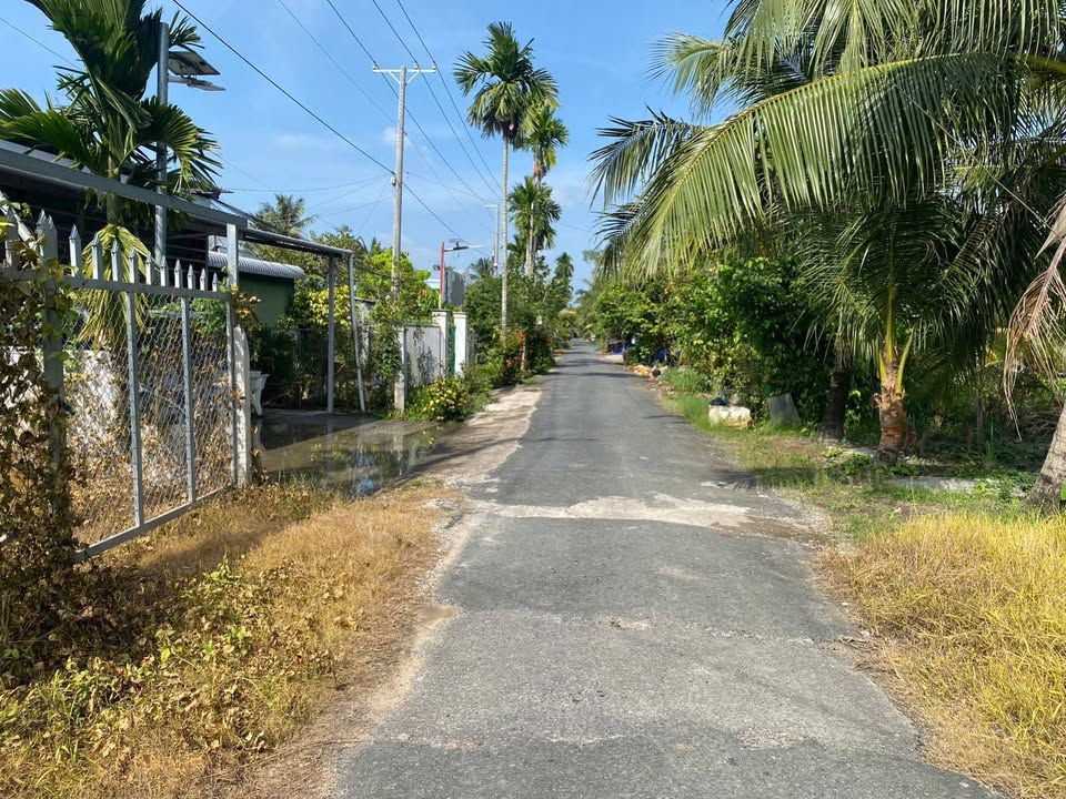 Đất nền mặt tiền đường Vị Bình 220m² giá 450 triệu - Cơ hội đầu tư hấp dẫn!