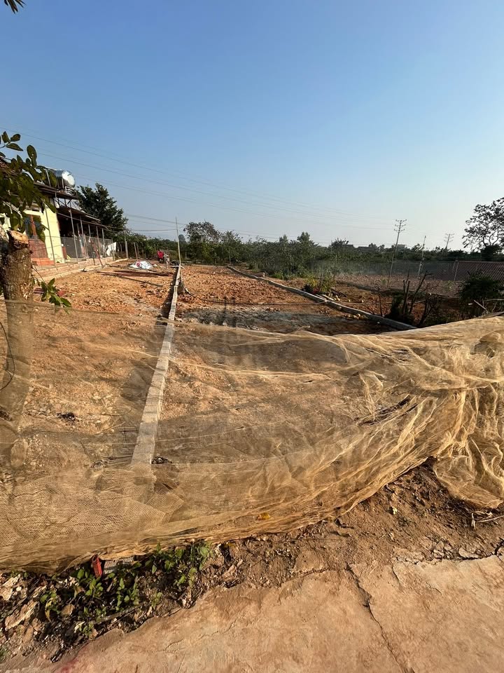 Đất thổ cư Nghĩa Hồ, 210m² giá chỉ 900 triệu - Tiềm năng đầu tư lớn!