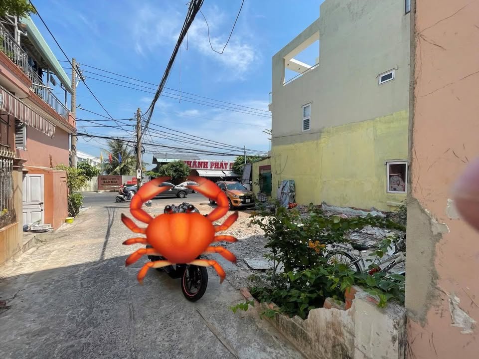 Bán FrontHouse mặt tiền Trần Phú, TP Vũng Tàu 134m² - Tiềm năng đầu tư lớn!