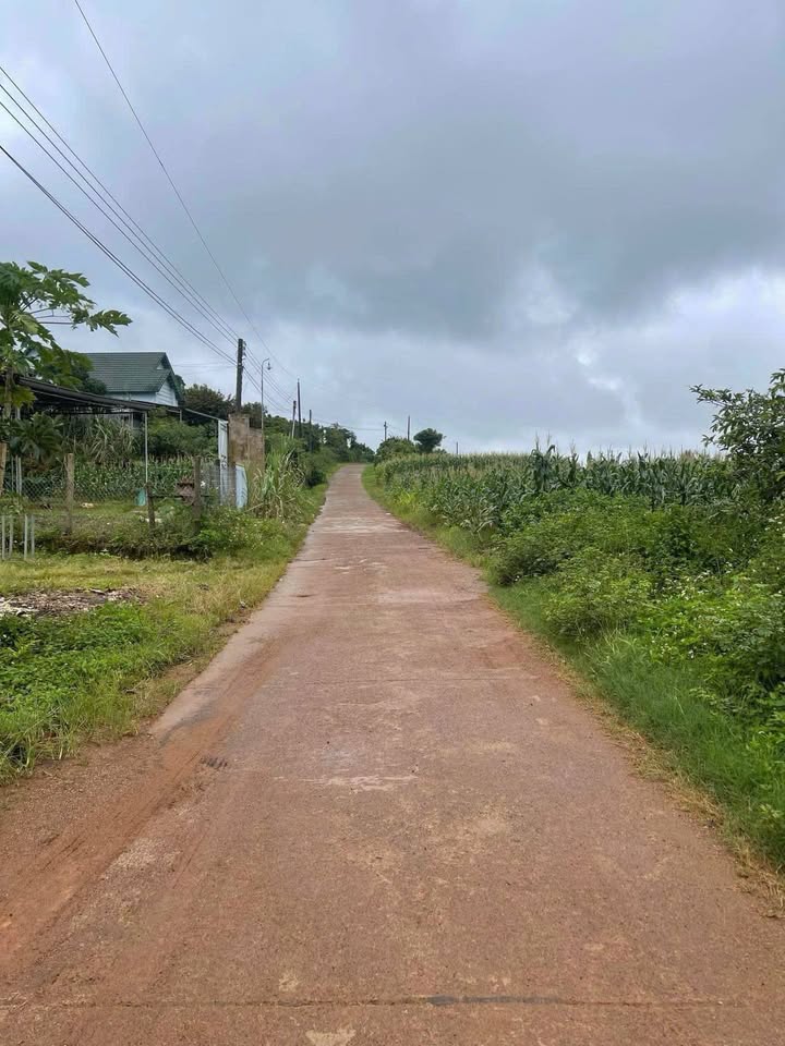 Đất nền Bảo Lộc 4380m² giá 2.55 tỷ - Mặt tiền đẹp, giao thông thuận lợi!