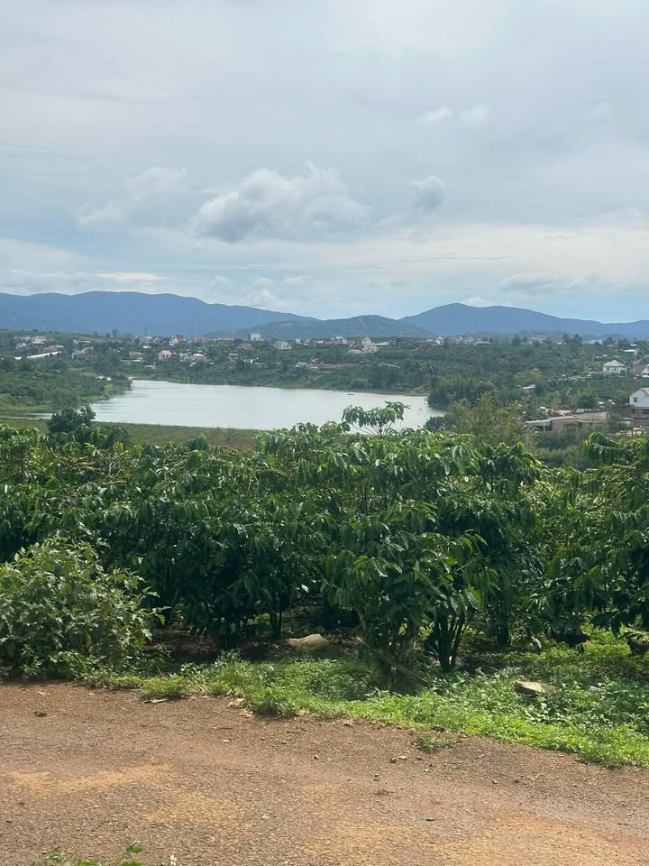 Đất thổ cư xã Tân Châu 126m² giá 840 triệu - View hồ đẹp lý tưởng!