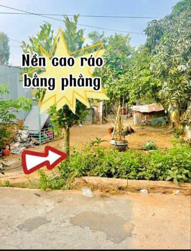 Bán đất nền Tân An, TX Tân Châu 149m² giá 470 triệu - Đầu tư sinh lời ngay!