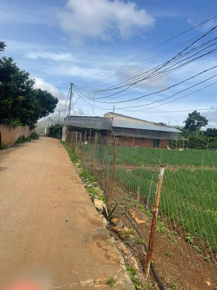 Đất nền tại Nam Ban, Lâm Hà 4500m² giá 5.5 tỷ - Mặt tiền đường rộng rãi!