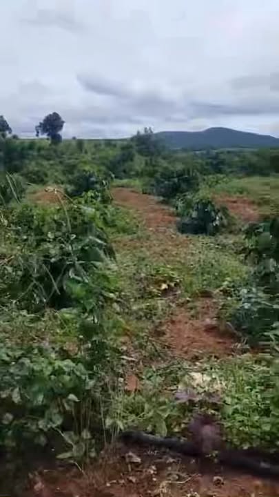 Đất rẫy 2 mặt đường tại xã Kon Chiêng, Gia Lai, 5,5 sào - Giá chỉ 750 triệu!