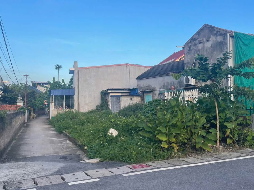 Đất nền góc mặt đường Hoa Động, Thủy Nguyên 58.9m² - Cơ hội đầu tư hiếm có!