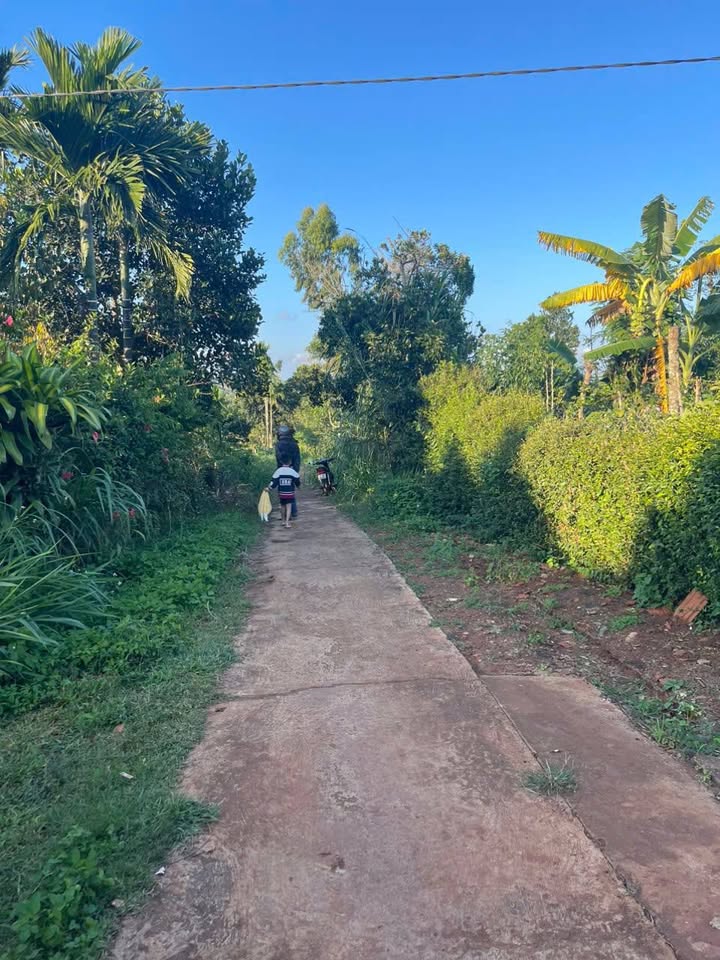 Đất nền xã Xuân Phước, Huyện Đồng Xuân, 1000m² giá 21.6 tỷ - Cơ hội đầu tư không thể bỏ lỡ!