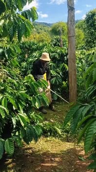 Đất Farm 8.300m² tại Xã Ea Ral, Đắk Lắk giá chỉ 499 triệu - Cơ hội đầu tư hiếm có!