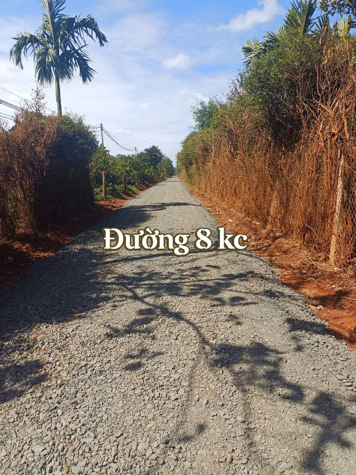 Đất thổ cư Phường Tân An 360m² giá 670 triệu - Đang có nguồn thu sầu riêng!