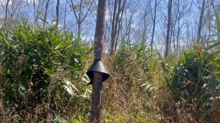 Bán lô đất và cao su Đăk Vang, Ngọc Hồi 3,5ha - Đầu tư sinh lời ngay!