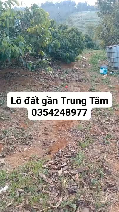 Đất nền xã Đắk Búk So 1,1ha giá thỏa thuận - Khu dân cư đông đúc, thuận tiện mọi mặt!
