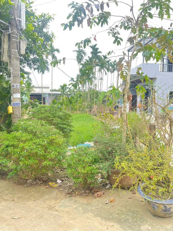 Đất nền Duy Vinh, Duy Xuyên 115m² giá 590 triệu - Sổ hồng trao tay ngay!