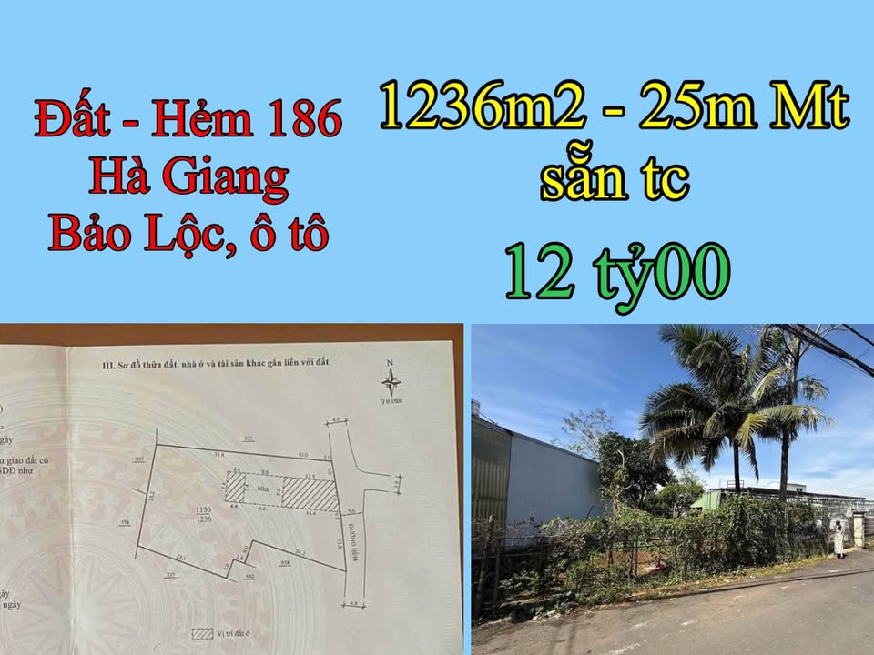 Đất nền Bảo Lộc 1236m² giá 12 tỷ - Mặt tiền 25m, đường ô tô