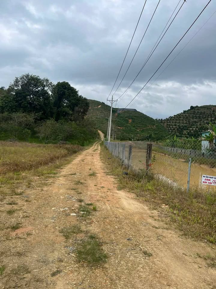 Đất 7,5 sào tại Đạ Tẻh, Lâm Đồng - Giá 1,25 tỷ, có thương lượng!