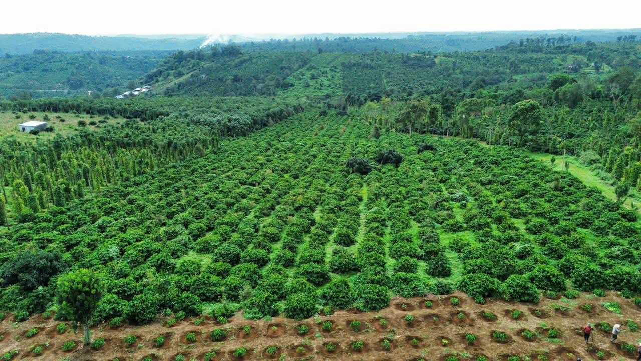 Đất Farm 12ha tại Lạc Lâm, Đơn Dương - Cơ hội đầu tư sinh lời!