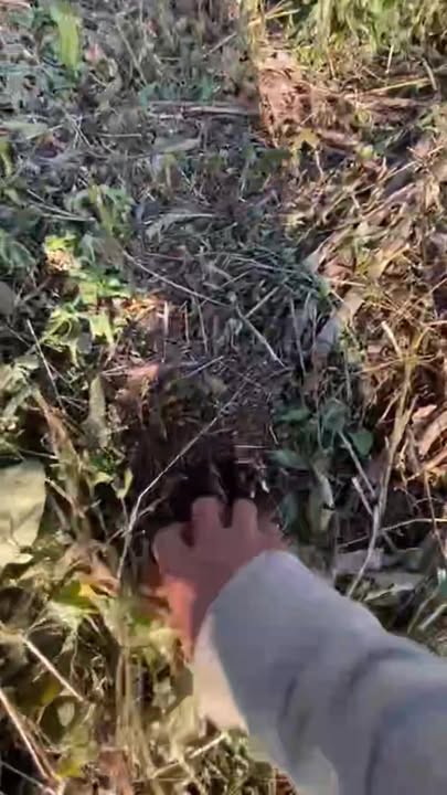 Đất nền Đắk R'La 20.700m² giá 1.2 tỷ - Đầu tư sinh lời ngay!