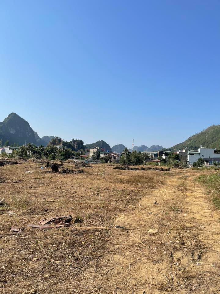 Đất nền 110m² tại chợ KM9 Quang Hanh, Cẩm Phả - Hướng Nam, giá chỉ 1 tỷ!