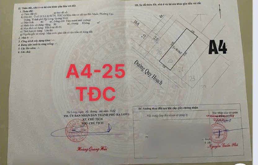 Đất nền TDC Bãi Muối 80m² giá 4.1 tỷ - Đầu tư sinh lời ngay!