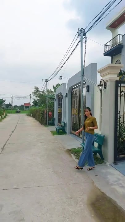 Nhà vườn Tân Cổ Điển Bình Chánh 225m² giá 4.18 tỷ - Thiết kế hiện đại, sổ hồng riêng!