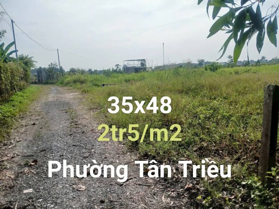 Đất nền khu tái định cư Bình Lợi 1680m² giá 34.125 tỷ - Sổ riêng, đường ô tô vào tận nơi!