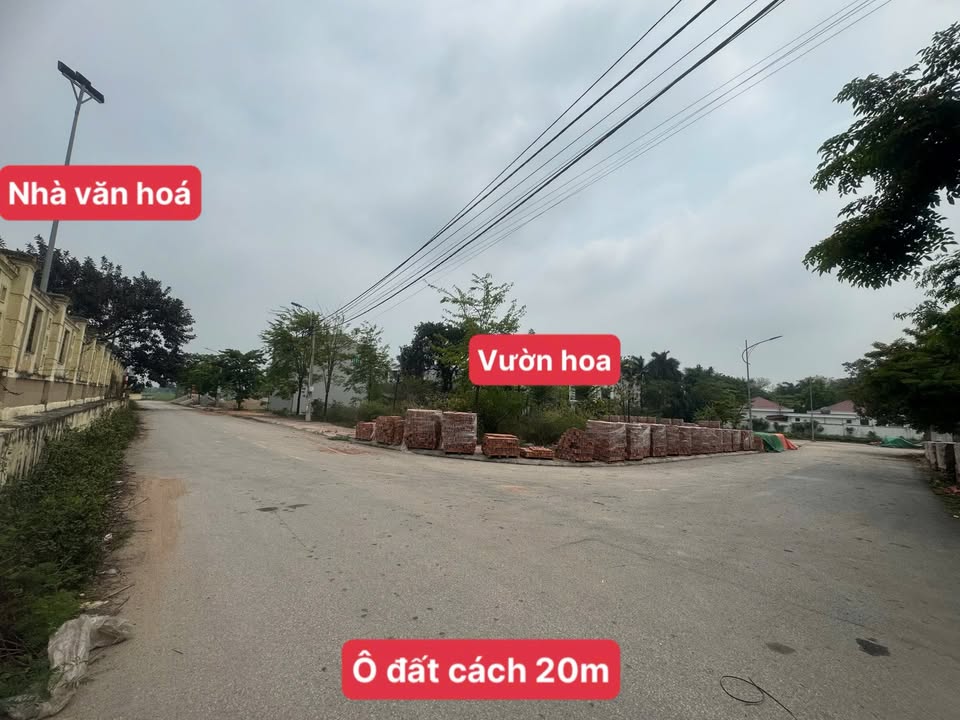 Đất Trục Chính Lai Sơn 135m² giá 1.8 tỷ - Địa điểm vàng cho đầu tư!