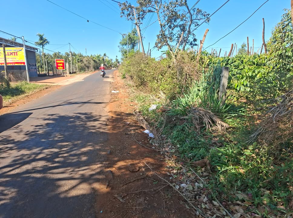 Đất mặt tiền đường tỉnh lộ 6C, huyện Mang Yang, 209m² - Đầu tư sinh lời!