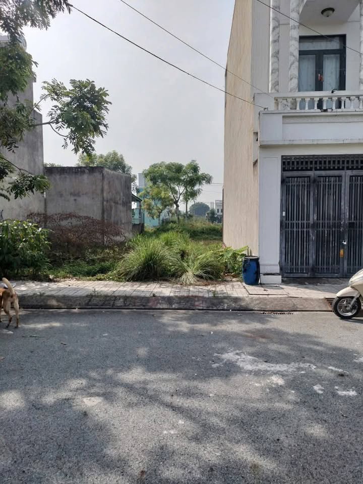 Đất nền KDC Cát Tường Phú Sinh, Đức Hòa, 60m² giá 950 triệu - Sổ hồng chính chủ, bao công chứng!