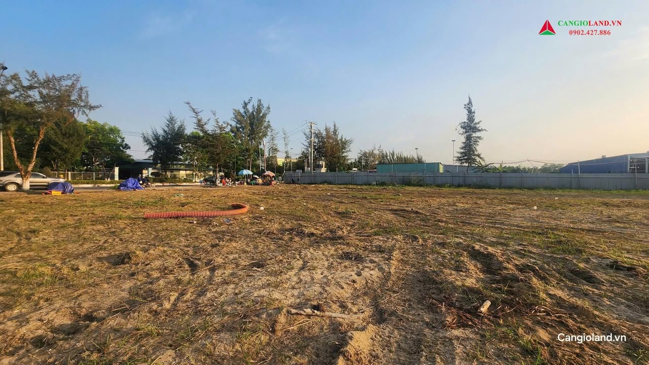 Cho thuê đất mặt tiền đường Thạnh Thới Cần Giờ 2,6ha - Vị trí đắc địa, phát triển mạnh!