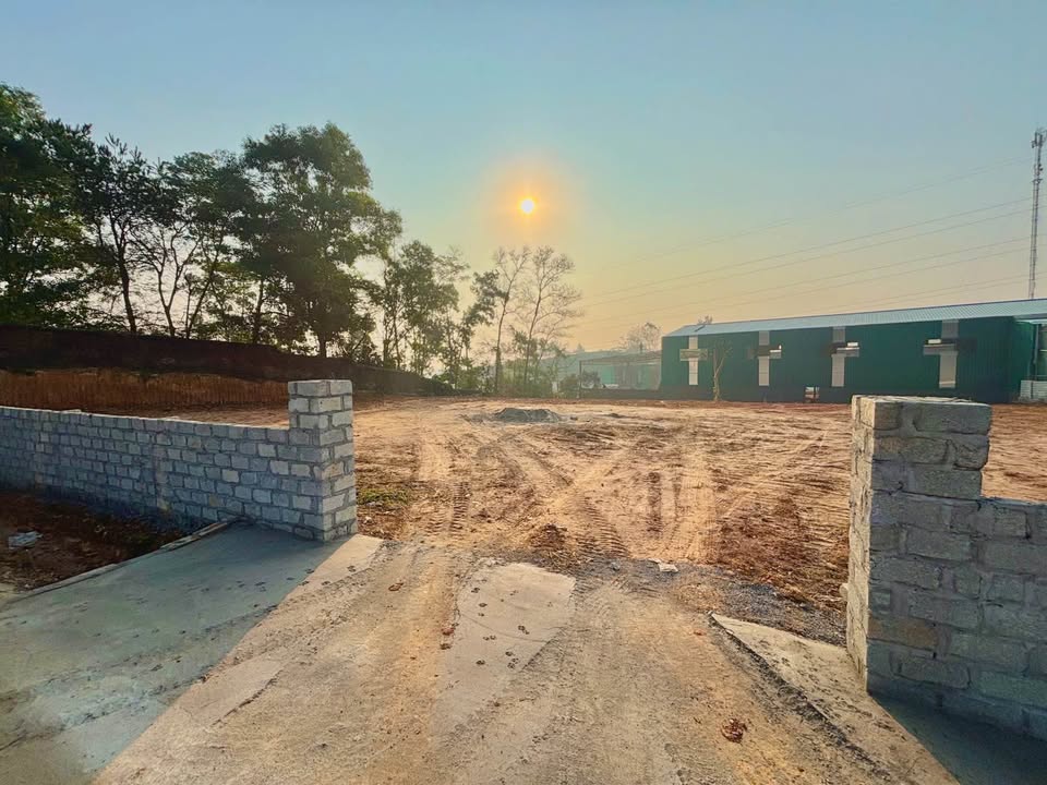 Đất nền Hòa Sơn 2000m² giá thỏa thuận - Pháp lý rõ ràng, vị trí đẹp!