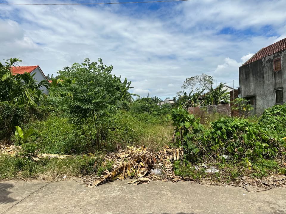 Đất đẹp Sông Vệ, Xã Nghĩa Phương 160m² giá 500 triệu - Đầu tư sinh lời hấp dẫn!