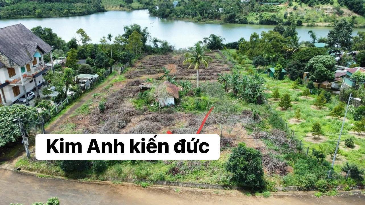 Đất thổ cư 4000m² Trần Hưng Đạo, Kiến Đức - Tiềm năng kinh doanh nghỉ dưỡng